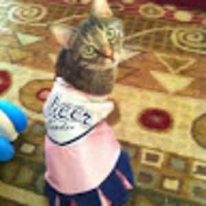 Meet your Posher, Erik